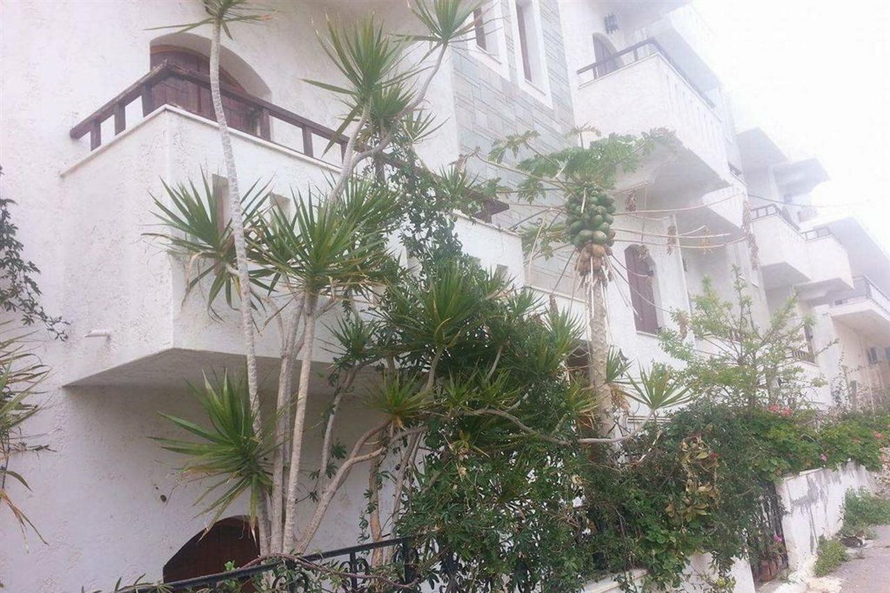 Irene Apartments Μάλια Εξωτερικό φωτογραφία